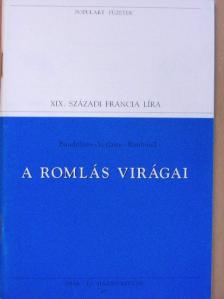 Arthur Rimbaud - A romlás virágai [antikvár]