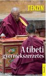 Tenzin - A tibeti gyermekszerzetes [antikvár]