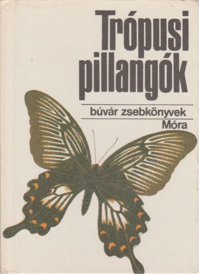 Mészáros Zoltán - Trópusi pillangók [antikvár]