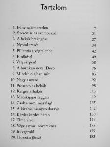 Monika Peetz - Nyári nővérek [antikvár]
