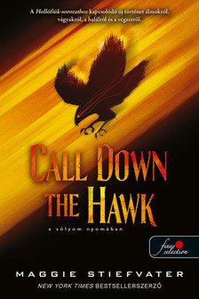 Maggie Stiefvater - Call Down the Hawk - A sólyom nyomában (Álmodok-trilógia 1.)