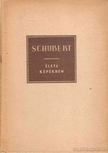 PETZOLD, RICHARD - Franz Schubert élete képekben (1797-1828) [antikvár]