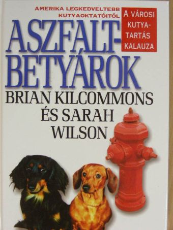 Brian Kilcommons - Aszfaltbetyárok [antikvár]