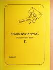 Adorján Katalin - Gyakorlóanyag dyslexiás gyermekek részére II. [antikvár]