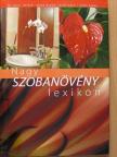 Dede Géza - Nagy szobanövény lexikon [antikvár]