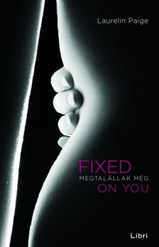 Laurelin Paige - Megtalállak még - Fixed on you [eKönyv: epub, mobi]