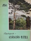 Aba Iván - Budapest-Gyöngyös-Mátra (Dr. Castiglione László könyvtárából) [antikvár]