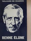 Teilhard de Chardin - Benne élünk [antikvár]