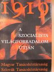Győrffy Sándor - 1919. A szocialista világforradalom útján [antikvár]