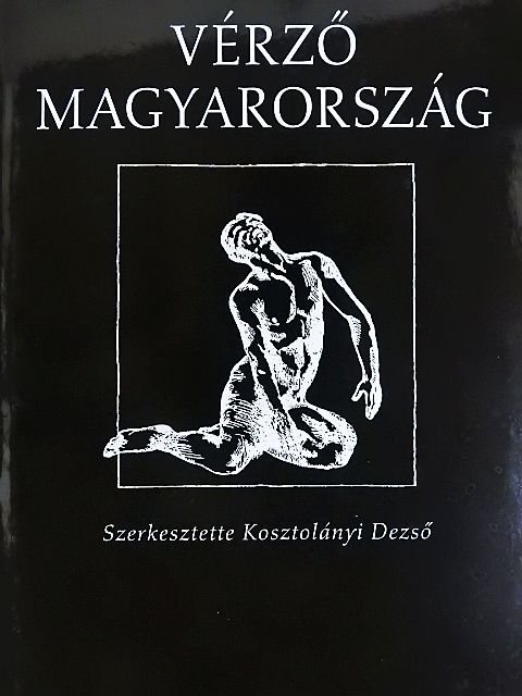 Andrássy Gyula gróf - Vérző Magyarország [antikvár]