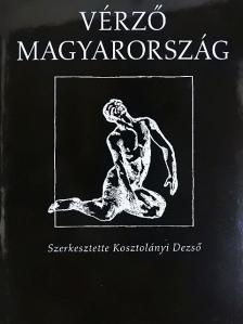 Andrássy Gyula gróf - Vérző Magyarország [antikvár]