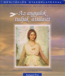 Daniel, Alma, Wyllie, Timothy, Ramer, Andrew - Az angyalok tudják a választ [antikvár]
