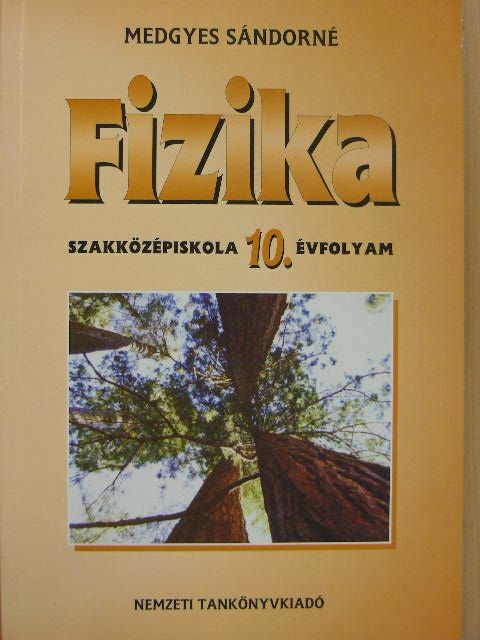 Medgyes Sándorné - Fizika 10. [antikvár]