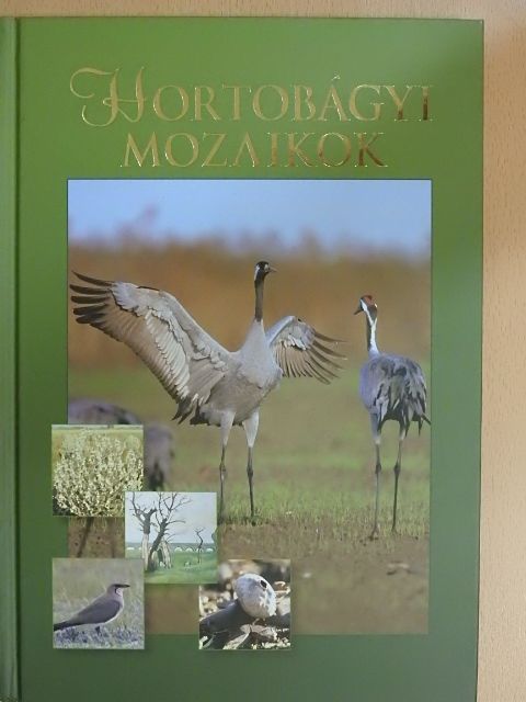 Dr. Kovács Gábor - Hortobágyi mozaikok [antikvár]