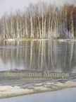 Sz. G. Priklonszkij - The Meshchera Natural Reserve [antikvár]