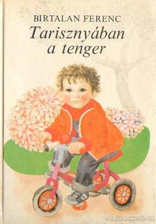 Birtalan Ferenc - Tarisznyában a tenger [antikvár]