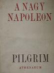 David Pilgrim - A nagy Napoleon [antikvár]