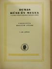 Id. Dumas Sándor - Húsz év múlva I-III. [antikvár]
