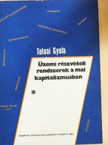 Tolnai Gyula - Üzemi részvételi rendszerek a mai kapitalizmusban [antikvár]