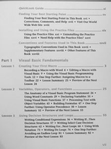 Chris Kinata - Microsoft Word 97 Visual Basic [antikvár]