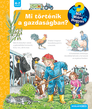 Andrea Erne - Mi történik a gazdaságban?