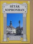 Krisch Magdolna - Séták Sopronban [antikvár]
