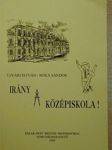 Róka Sándor - Irány a középiskola! [antikvár]