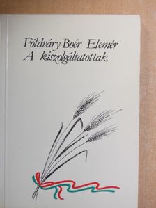 Földváry-Boér Elemér - A kiszolgáltatottak [antikvár]