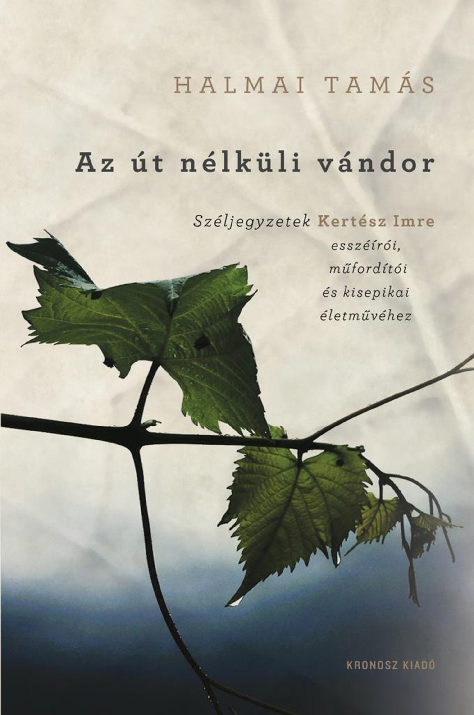Halmai Tamás - Az út nélküli vándor
