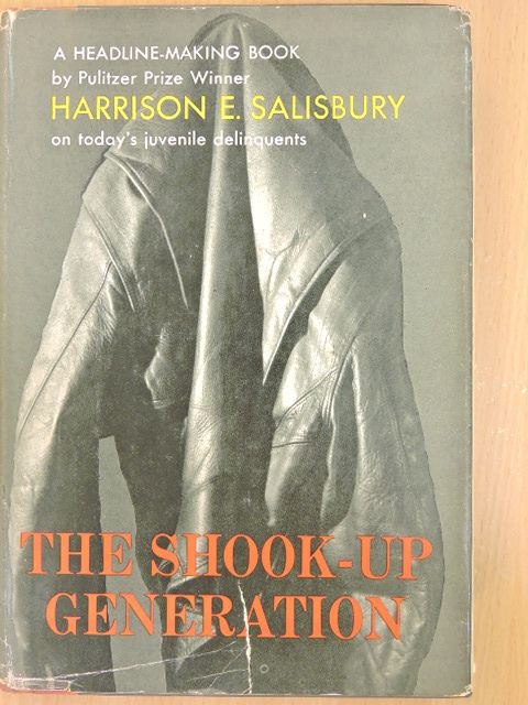 Harrison E. Salisbury - The Shook-up Generation [antikvár]