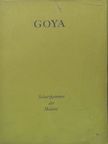 Goya [antikvár]
