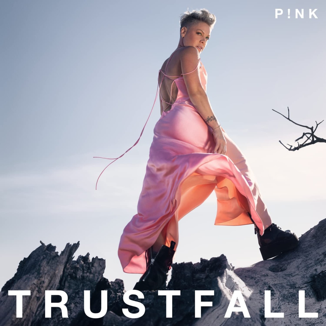 PINK - TRUSTFALL CD PINK
