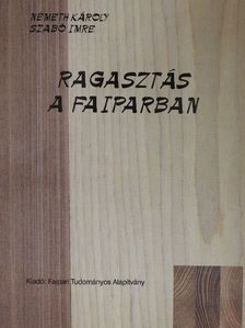 Németh Károly - Ragasztás a faiparban [antikvár]
