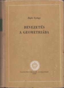 Hajós György - Bevezetés a geometriába [antikvár]
