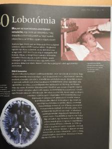 Tom Jackson - Agyunk titkai [antikvár]