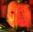 ALICE IN CHAINS - JAR OF FLIES CD ALICE IN CHAINS