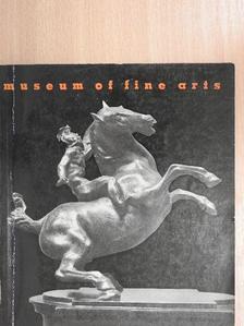 Museum of Fine Arts [antikvár]