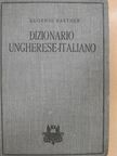 Eugenio Kastner - Dizionario Ungherese-Italiano [antikvár]