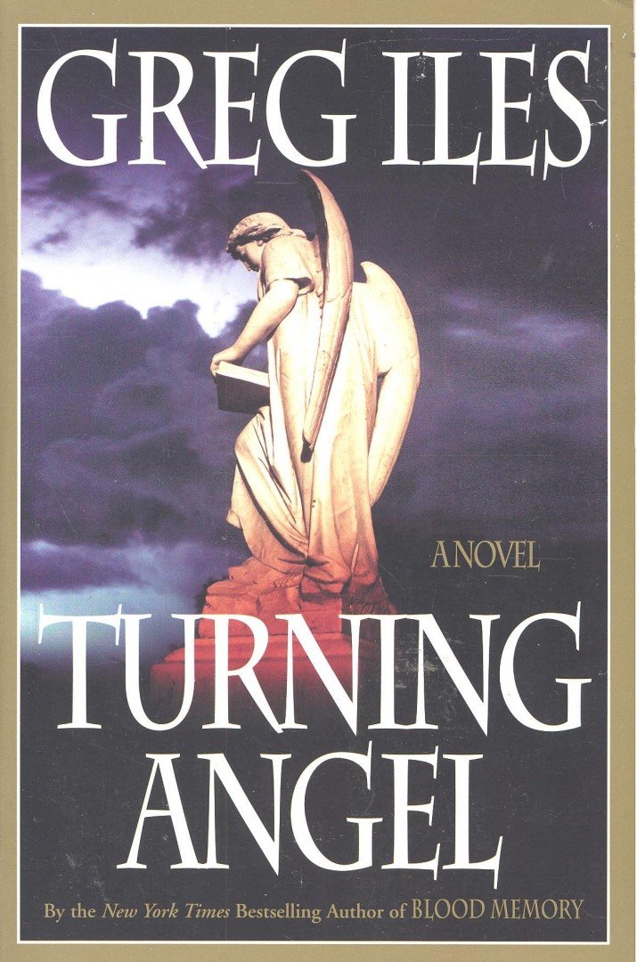 Greg Iles - Turning Angel [antikvár]