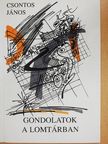 Csontos János - Gondolatok a lomtárban [antikvár]