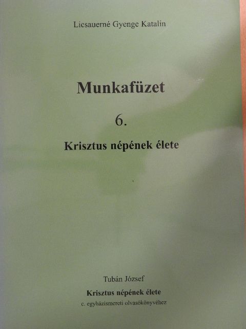Licsauerné Gyenge Katalin - Munkafüzet 6. [antikvár]
