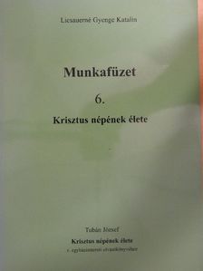 Licsauerné Gyenge Katalin - Munkafüzet 6. [antikvár]