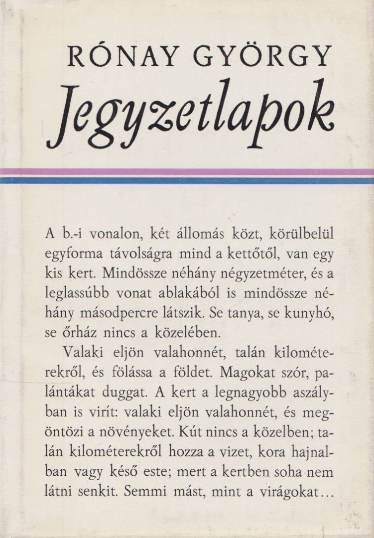 RÓNAY GYÖRGY - Jegyzetlapok [antikvár]