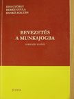 Bankó Zoltán - Bevezetés a munkajogba [antikvár]