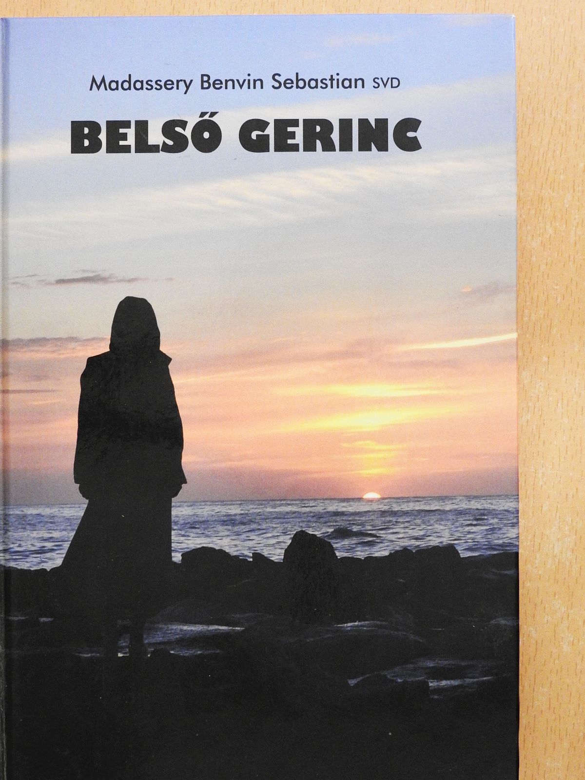 Madassery Benvin Sebastian SVD - Belső gerinc (dedikált példány) [antikvár]