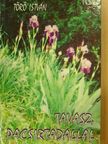 Törő István - Tavasz, pacsirtadallal/A szúnyogok és a hegedű/Bogaras utazás [antikvár]