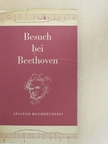 Martin Hürlimann - Besuch bei Beethoven [antikvár]