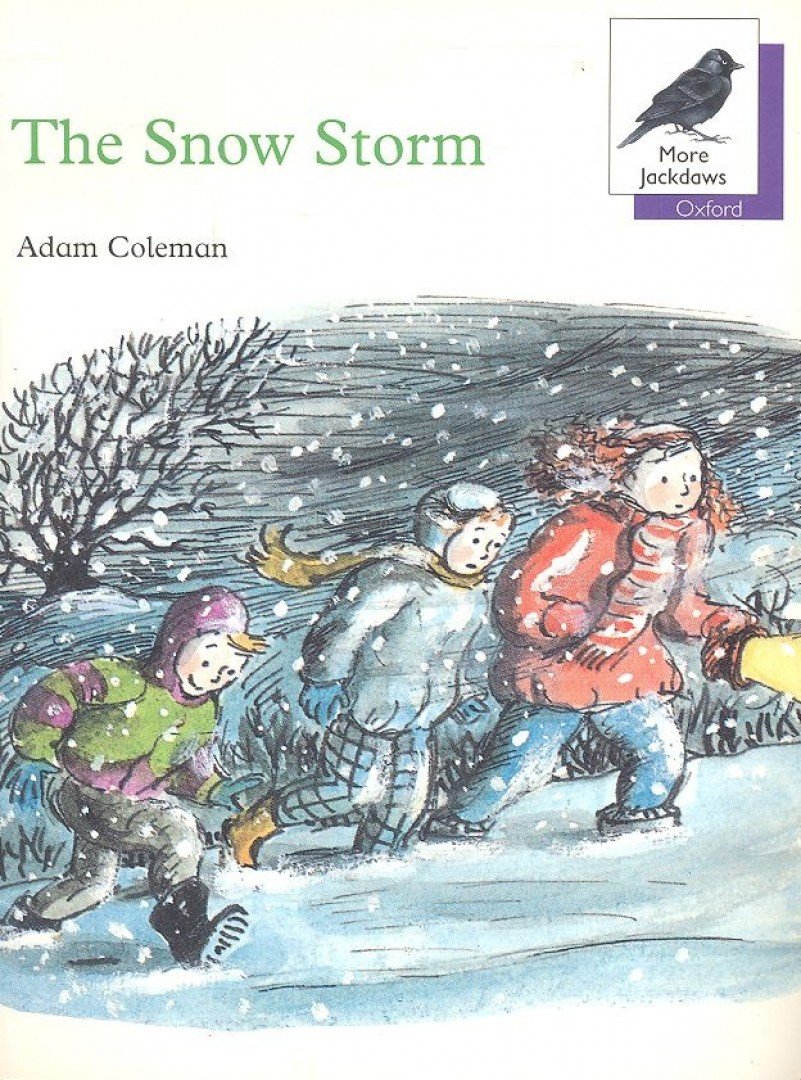 COLEMAN, ADAM - The Snow Storm [antikvár]