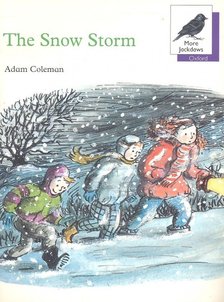 COLEMAN, ADAM - The Snow Storm [antikvár]