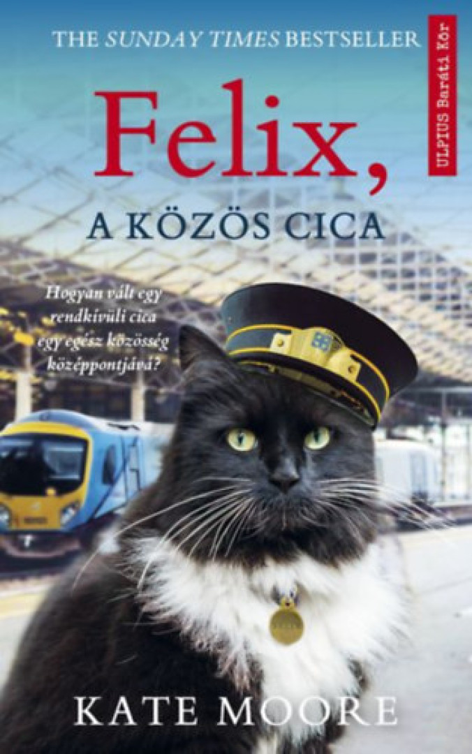 KATE MOORE - Felix, a közös cica [antikvár]